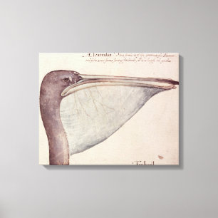 Lienzo Pelícano, c.1590