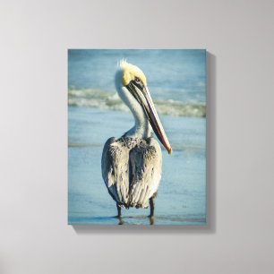 Lienzo Pelícano en una playa de Florida 