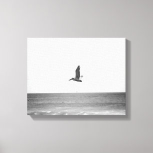 Lienzo Pelícano moreno negro y blanco volando sobre el oc
