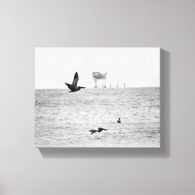 Lienzo Pelícanos marrones negros y blancos sobre el océan (Anverso)