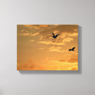 Lienzo Pelícanos volando al atardecer