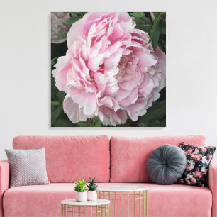 Lienzo Peonía rosa de 24" x 24"