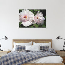 Peonies de árbol de 36" x24"