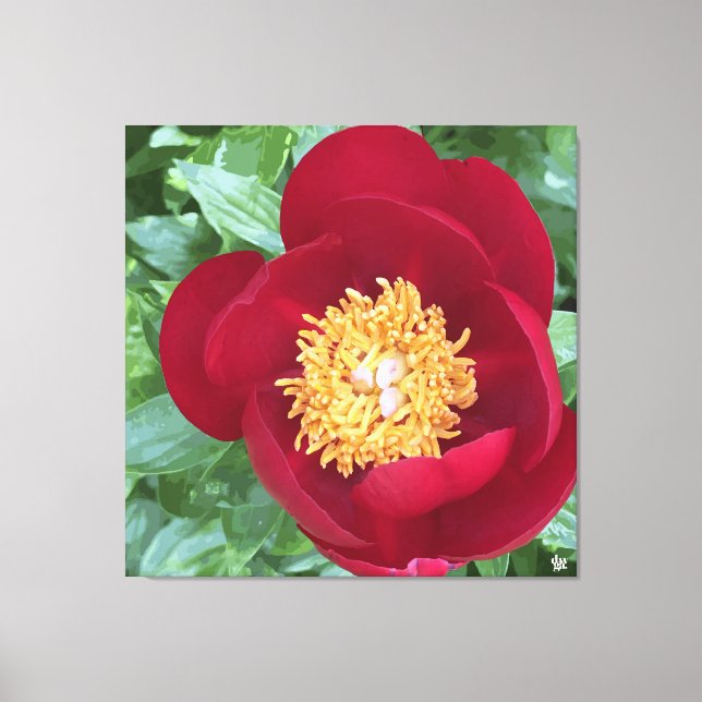 Lienzo Peony rojo en negrita (Anverso)