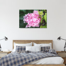 Peony rosa de 36" x 24"