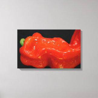 Lienzo Pepper de Campana Roja Fresca