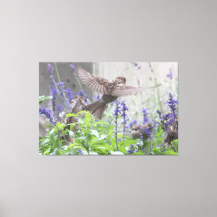 Lienzo Pequeña Ave En Lavanda