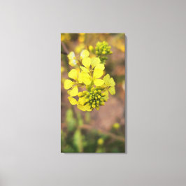 Lienzo pequeña flor amarilla colección de flora de primav