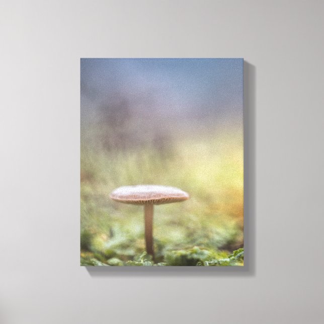 Lienzo Pequeña foto natural de hongos (Anverso)