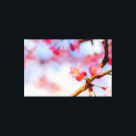 Lienzo Pequeñas Bellezas De Sakura Rosa En Primavera<br><div class="desc">Flores de sakura, bonitas y adorables, de color rosa, contra el suave fondo rosa, blanco, azul del cielo primaveral y flores de cerezo. Una pintura digital extra grande de una fotografía. Impresión de lienzos floridos y estirados para decorar tu lugar o para ser usados como regalo para bodas, cumpleaños, duchas...</div>