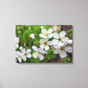 Lienzo pequeñas flores blancas