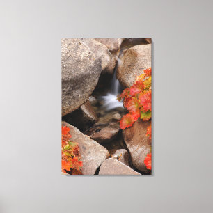 Lienzo Pequeño arroyo en otoño, California