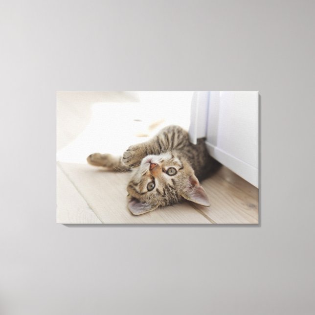 Lienzo Pequeño gatito lindo (Anverso)