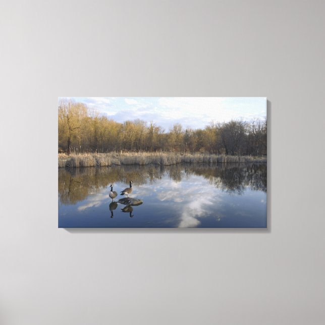 Lienzo Perca geesa en parque en el oeste de Saint Paul (Anverso)