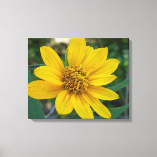Lienzo Perfección floral en amarillo de la sol