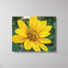 Lienzo Perfección floral en amarillo Sunshine