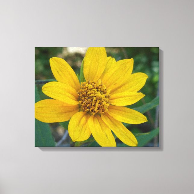 Lienzo Perfección floral en amarillo Sunshine (Anverso)