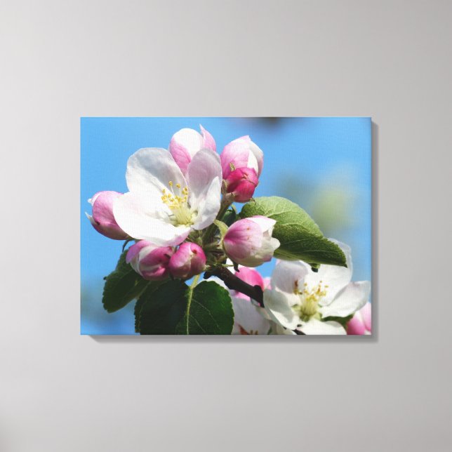 Lienzo Perfecto Apple Blossom WrappedCanvas (brillante) (Anverso)