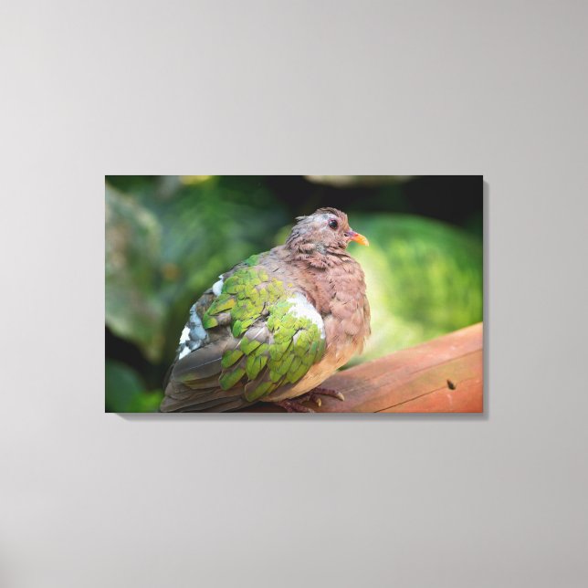 Lienzo Perfil de la paloma de esmeralda y percha (Anverso)