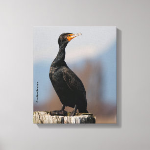 Lienzo Perfil de un cormorán de doble cresta