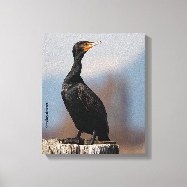 Lienzo Perfil de un cormorán de doble cresta (Anverso)