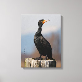Lienzo Perfil de un cormorán de doble cresta
