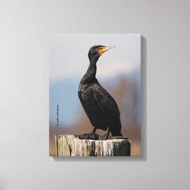 Lienzo Perfil de un cormorán de doble cresta (Anverso)