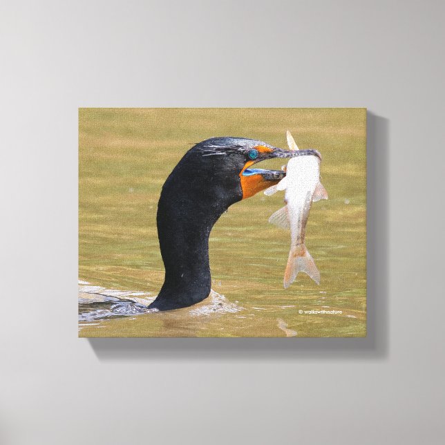 Lienzo Perfil de un cormorán de doble cresta adulto (Anverso)