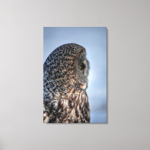 Lienzo Perfil del gran retrato de foto de la fauna grisác