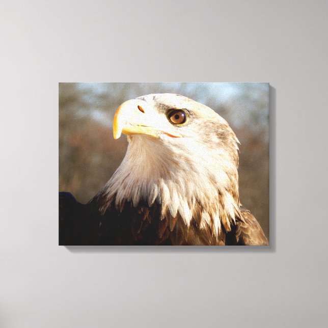 Lienzo Perfil Majestic Bald Eagle (Anverso)