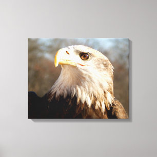 Lienzo Perfil majestuoso de águila calva