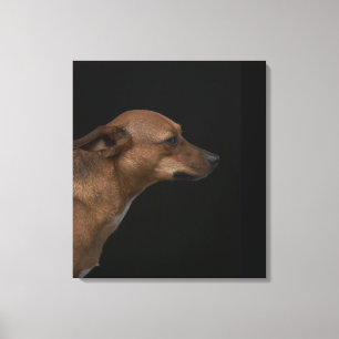 Lienzo Perfil mezclado del perro de la raza en fondo