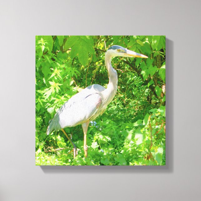 Lienzo Perón azul, borde de estanque, ave silvestre de bo (Anverso)