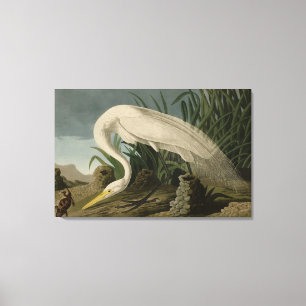 Lienzo Perón blanco, gran hierba, aves auduónicas de Amér