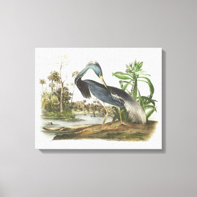 Lienzo Perón tricolado por Audubon (Anverso)
