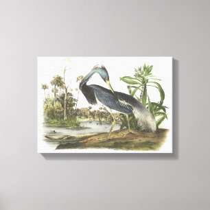 Lienzo Perón tricolado por Audubon