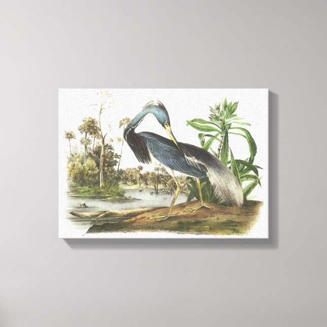 Lienzo Perón tricolado por Audubon (Anverso)