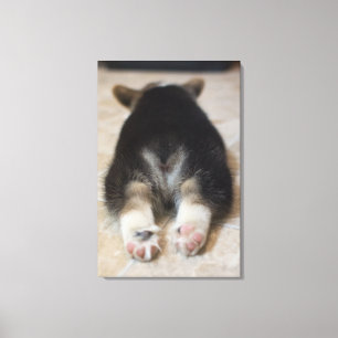 Lienzo Perrito 2 del Corgi Galés del Pembroke