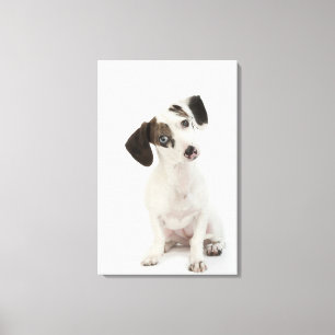Lienzo Perrito de la hembra del Dachshund/de la chihuahua