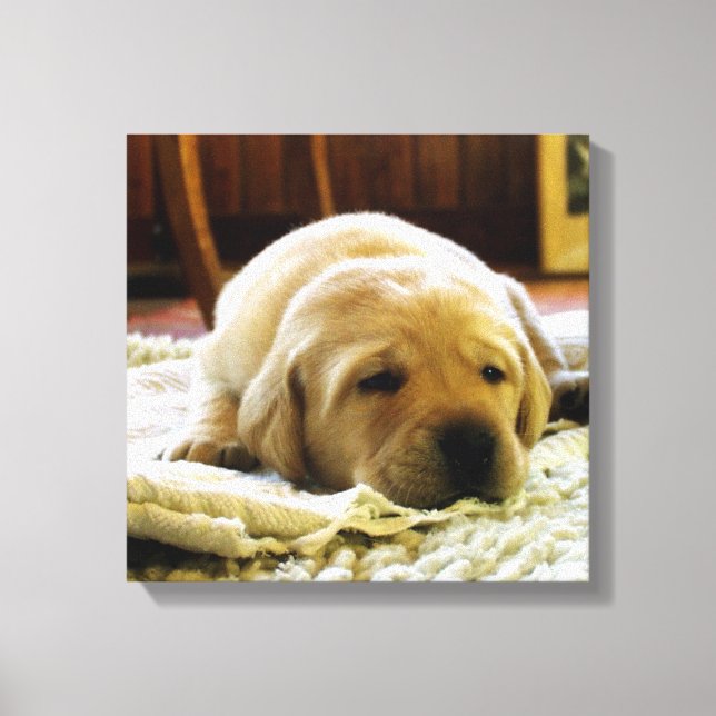 Lienzo perrito de laboratorio amarillo 2 (Anverso)