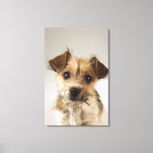 Lienzo Perrito (familiaris del Canis) 2