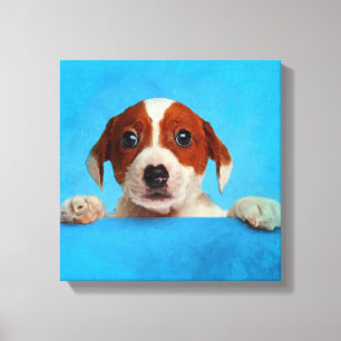 Lienzo Perrito lindo de Jack Russell Terrier
