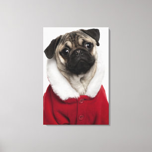 Lienzo Perrito Pug (6 meses de edad) con Navidades