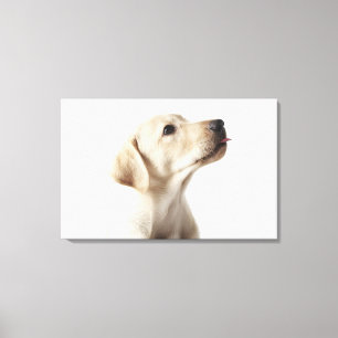 Lienzo Perrito rubio de Labrador que pega hacia fuera la