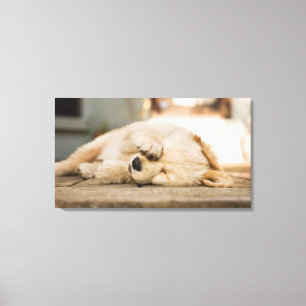 Lienzo perrito viejo de 10 semanas que frota sus ojos