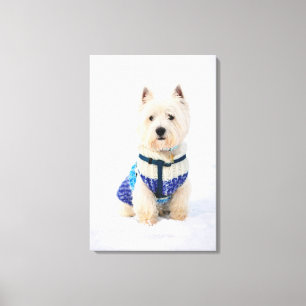 Lienzo Perro blanco en ropa en la nieve