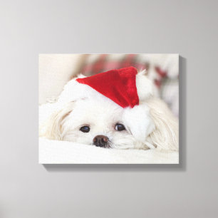 Lienzo Perro blanco lindo en un Gorra de Navidades rojos