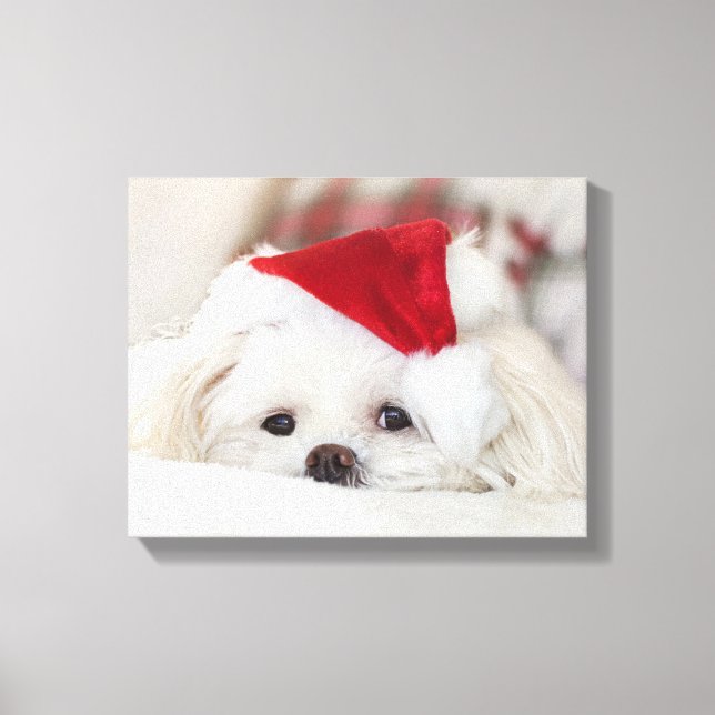 Lienzo Perro blanco lindo en un Gorra de Navidades rojos (Anverso)