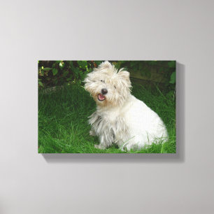 Lienzo Perro blanco pequeño en tela