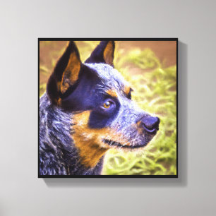 Lienzo Perro Boyero Australiano - Retrato de Perro